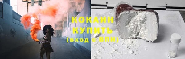стаф Няндома