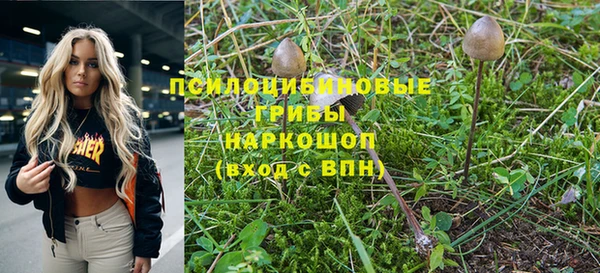 мяу мяу мука Нязепетровск