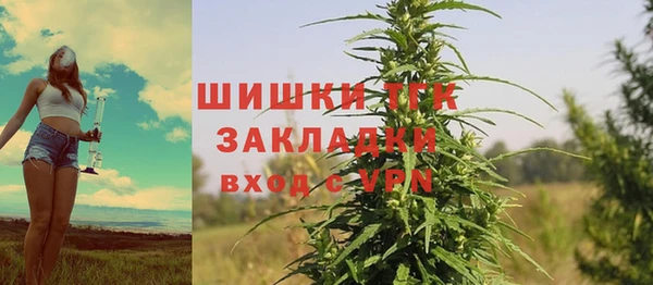 стаф Няндома