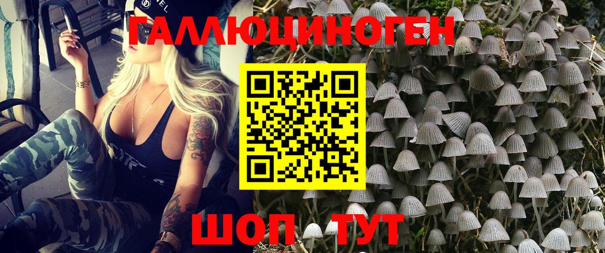 Галлюциногенные грибы мицелий Алексеевка