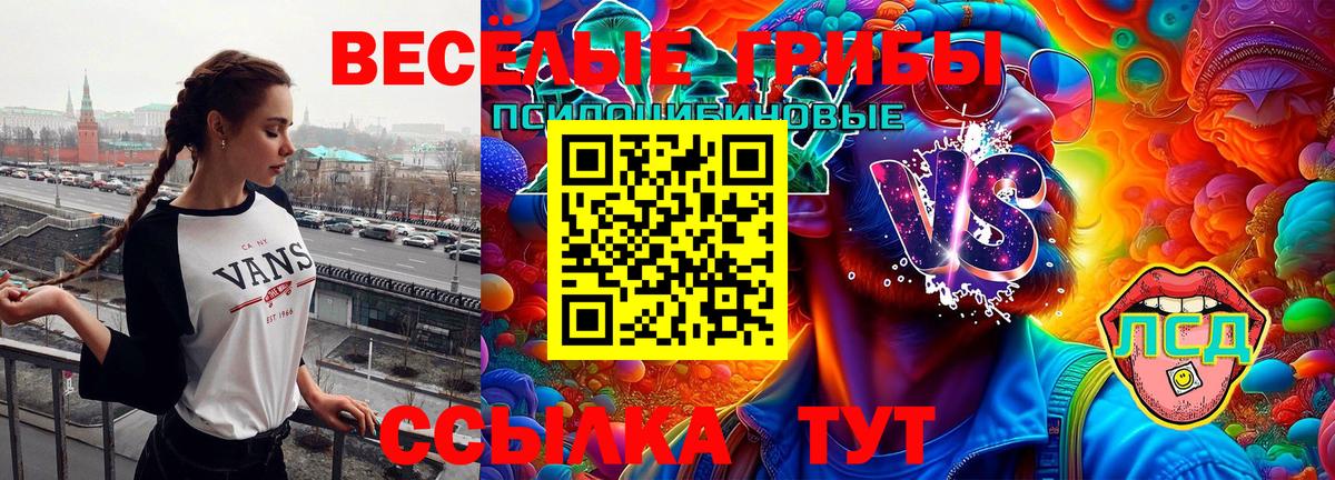 Псилоцибиновые грибы Magic Shrooms  Вход с VPN  Алексеевка 