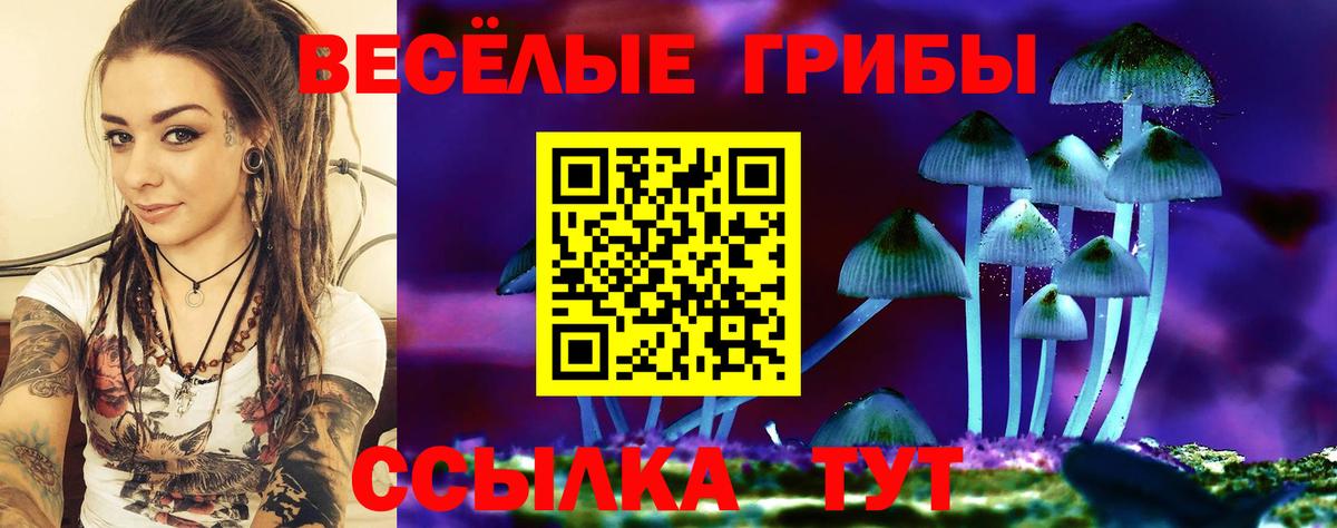 Бошки Шишки Алексеевка