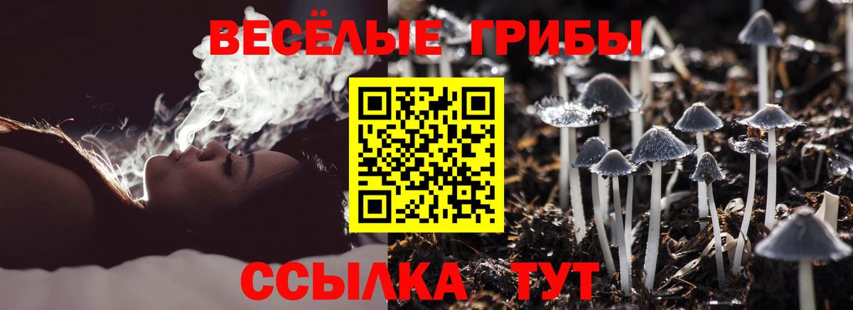 Алексеевка  наркота  Вход с VPN  Псилоцибиновые грибы мицелий  Галлюциногенные грибы Magic Shrooms 