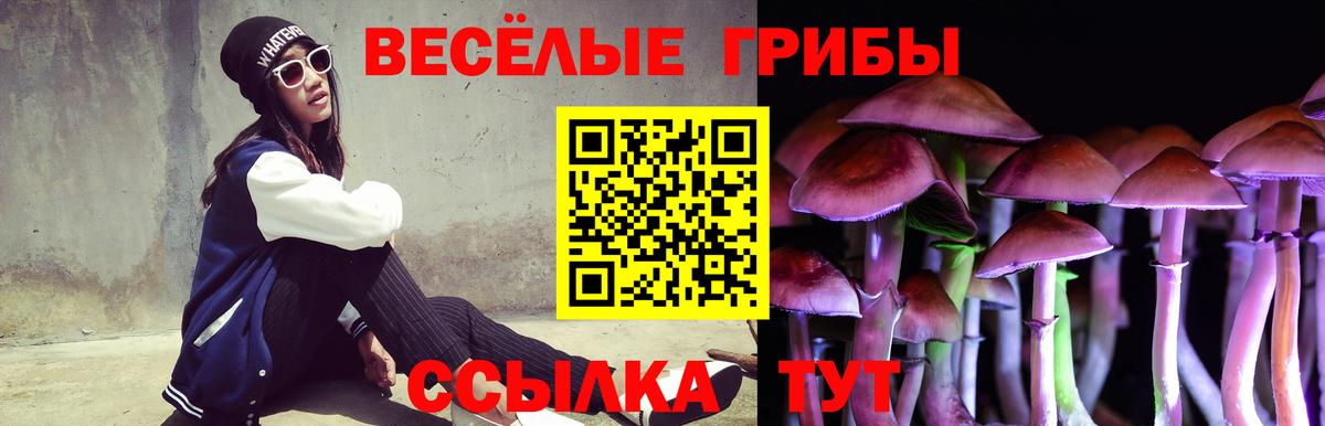 Галлюциногенные грибы Cubensis Алексеевка