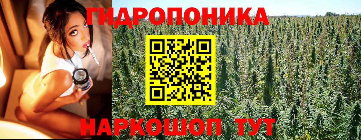 Алексеевка  МАРИХУАНА Bruce Banner  МАРИХУАНА марихуана  Канабис Bruce Banner  Вход с VPN 